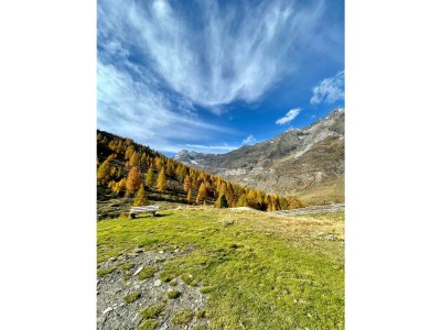 Holiday house HÃ¼tterwirtshof Holiday Home - Environment photo 22