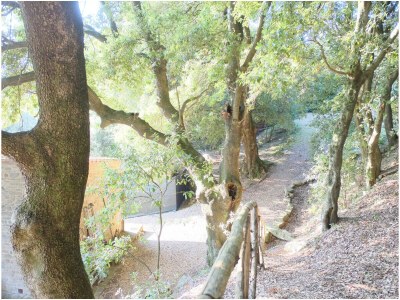 Holiday apartment Borgo Morgiano - Outdoor photo 7