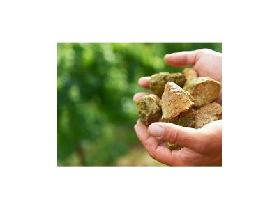 Apartment Appartement (neues Gästehaus) - Outdoor photo 3