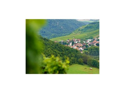 Apartment Appartement (neues Gästehaus) - Outdoor photo 10