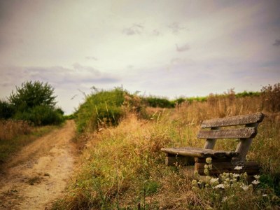 Apartment 2-Bettwohnung (35 qm) - Pfaffenberg - Outdoor photo 7