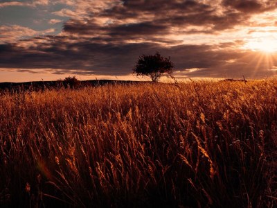 Apartment 2-Bettwohnung (40 qm) - Schlossberg - Outdoor photo 8