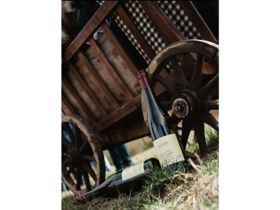 Apartment 2-Bettwohnung (40 qm) - Schlossberg - Outdoor photo 13