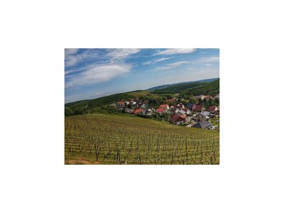 Apartment 2-Bettwohnung (40 qm) - Schlossberg - Outdoor photo 15