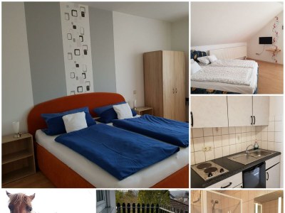 Apartment 2-Bettwohnung (40 qm) - Schlossberg - Outdoor photo 19