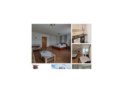 Apartment Ferienwohnung (60 qm) - Outdoor photo 10