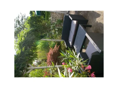 Apartment Ferienwohnung - Outdoor photo 3