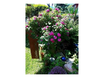 Apartment Ferienwohnungen Vorbek - Outdoor photo 9