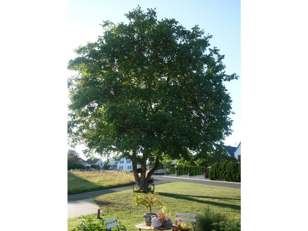 Apartment Appartement/Fewo, Dusche und Bad, WC, 1 Schlafraum - Outdoor photo 3