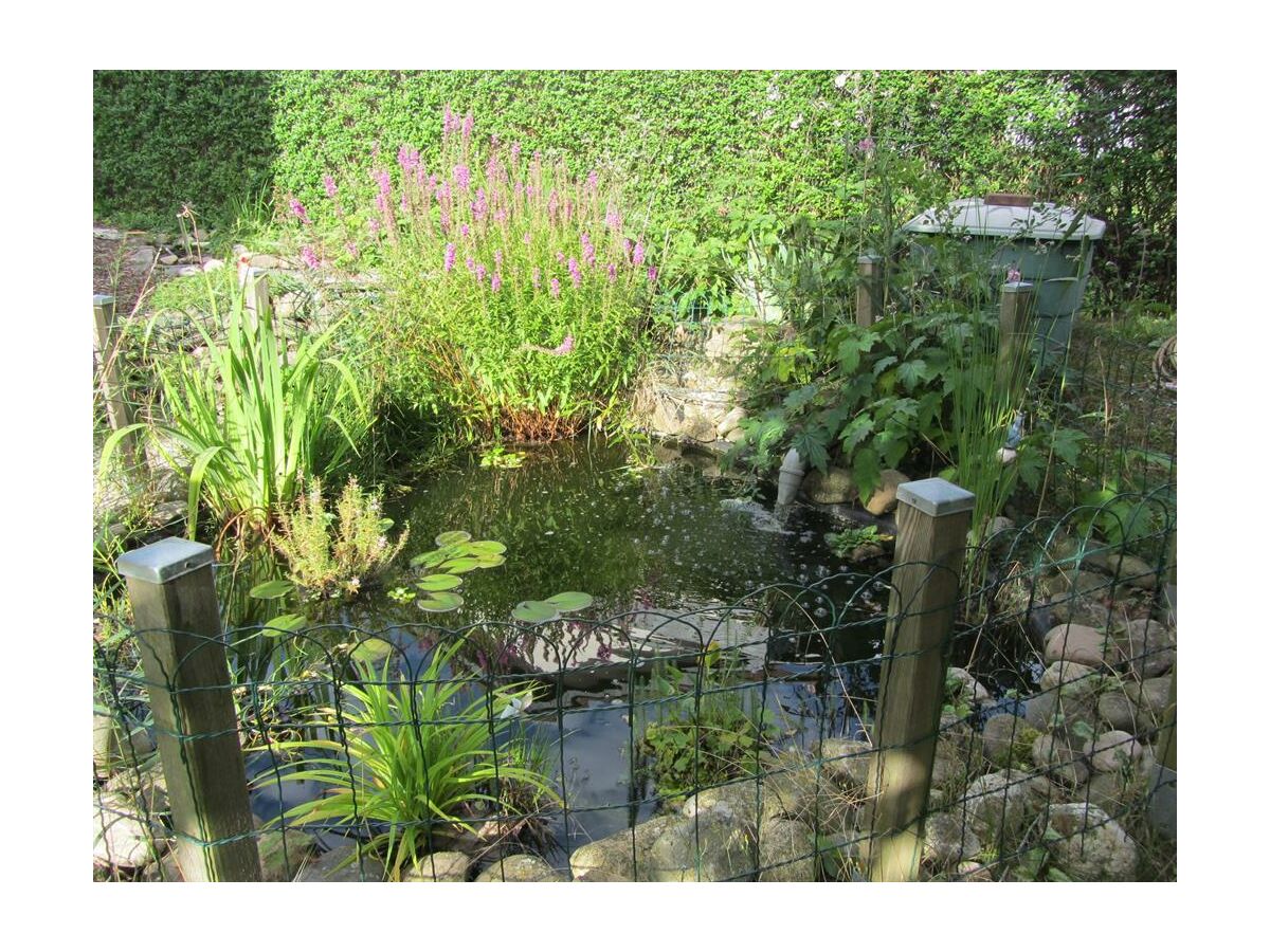 Apartment Appartement/Fewo, Dusche, WC, 1 Schlafraum - Outdoor photo 4