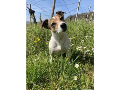 Apartment Ferienwohnung bis zu 5 Personen - Outdoor photo 6