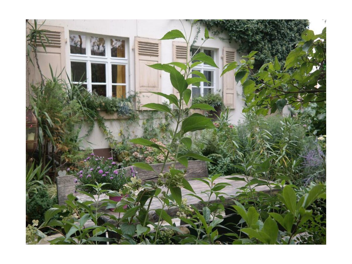 Apartment 2-Bettwohnung