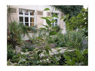 Apartment 2-Bettwohnung in Bad Sobernheim - Apartment