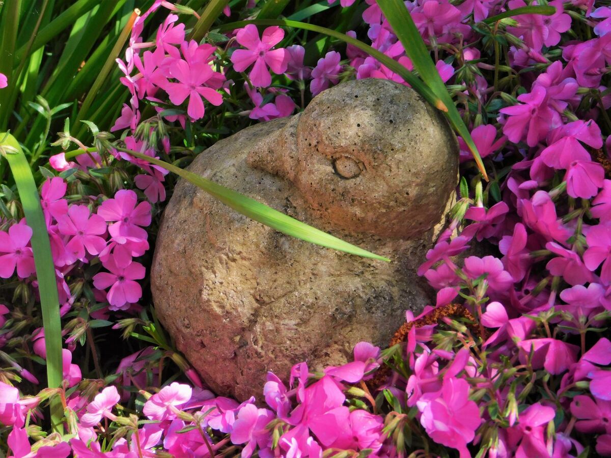 Apartment Appartement/Fewo, Dusche und Badewanne, 1 Schlafra - Outdoor photo 4