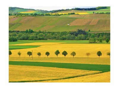 Apartment Appartement/Fewo, Dusche und Badewanne, 1 Schlafra - Outdoor photo 13