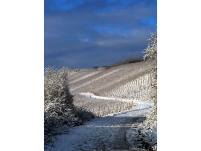 Apartment Appartement/Fewo, Dusche und Badewanne, 1 Schlafra - Outdoor photo 17