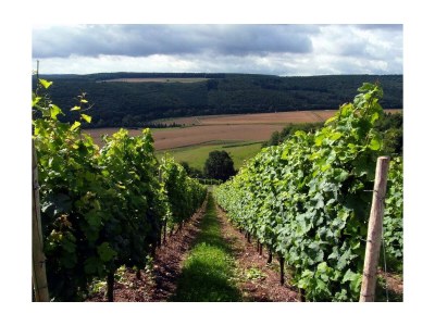 Apartment Appartement/Fewo, Dusche und Badewanne, 1 Schlafra - Outdoor photo 22