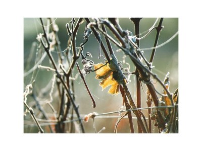 Apartment Appartement/Fewo, Dusche und Badewanne, 1 Schlafra - Outdoor photo 29