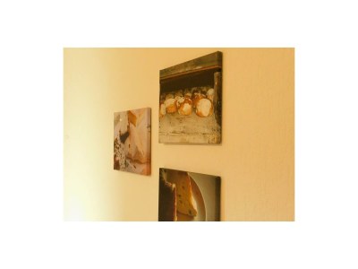 Apartment Appartement/Fewo, Dusche und Badewanne, 1 Schlafra - Features photo 40