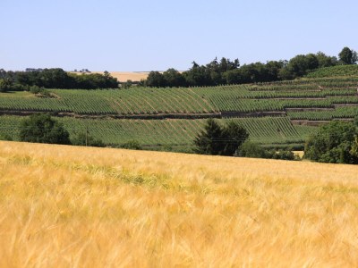 Apartment Appartement/Fewo, Dusche, WC, 2 Schlafräume - Outdoor photo 8