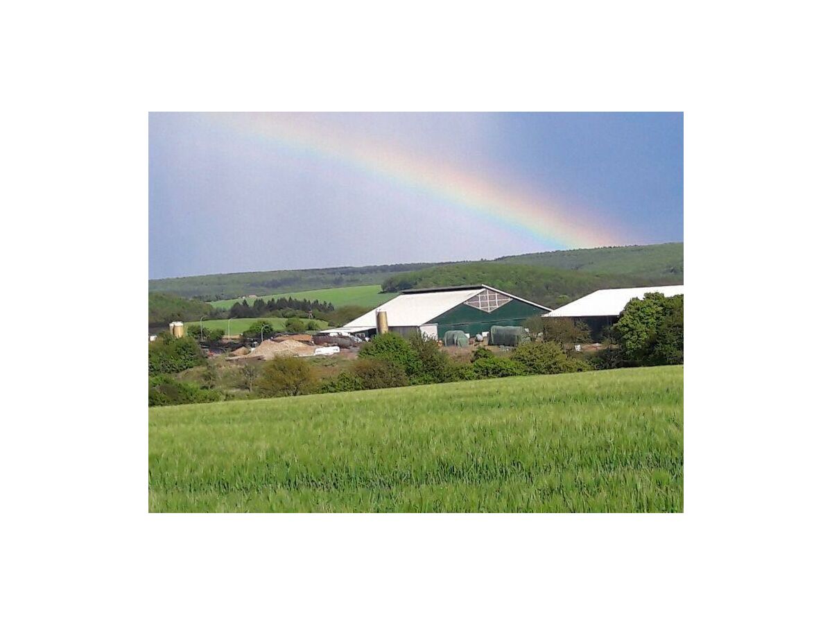 Apartment Ferienwohnung "Hühnernest"