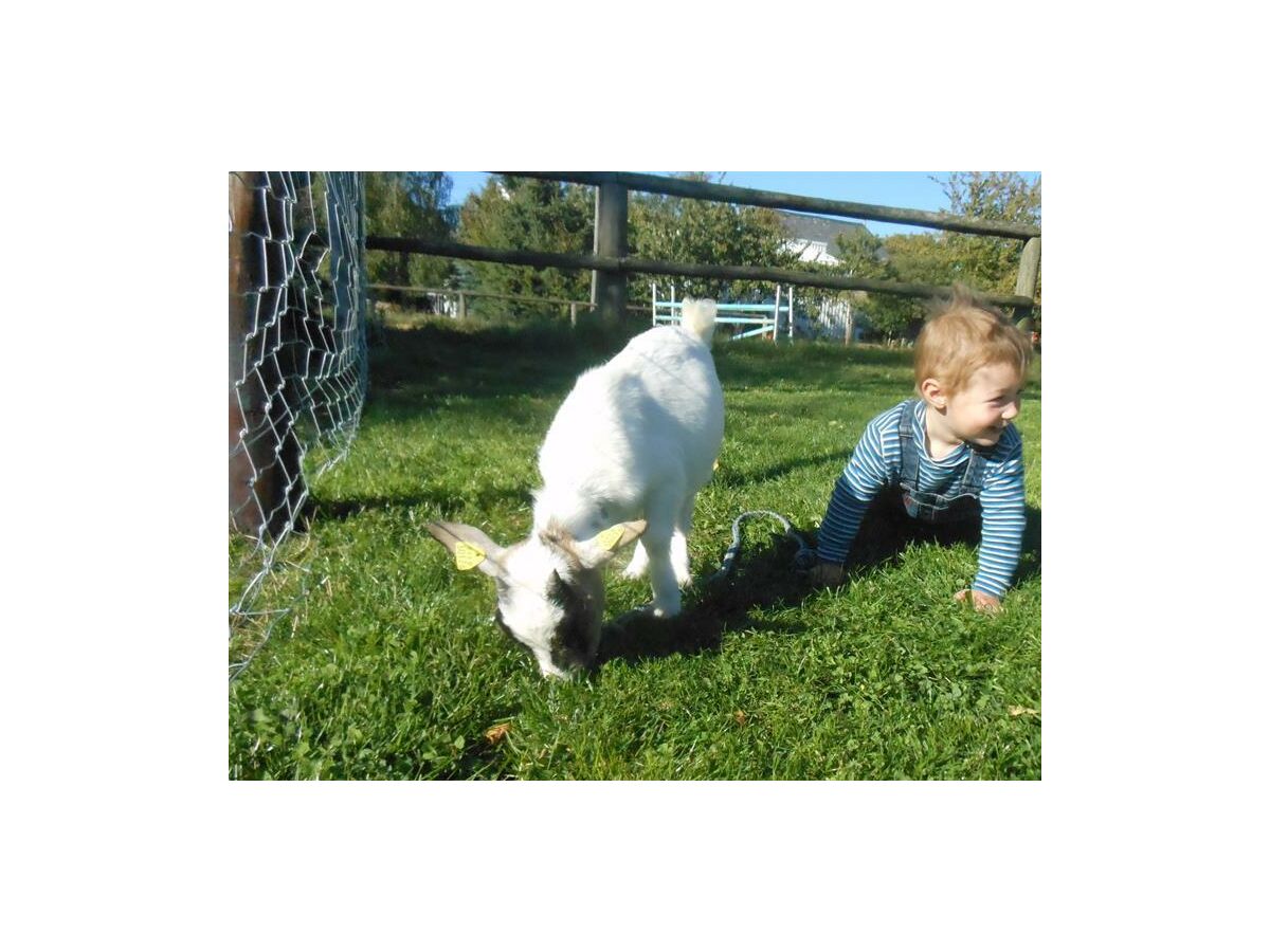 Apartment Ferienwohnung "Hühnernest" - Outdoor photo 2