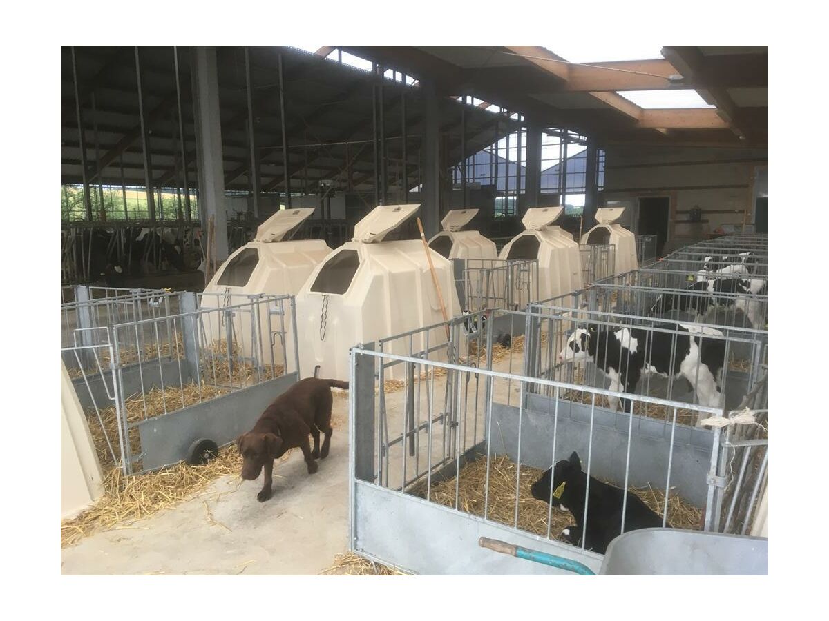 Apartment Ferienwohnung "Hühnernest" - Outdoor photo 3