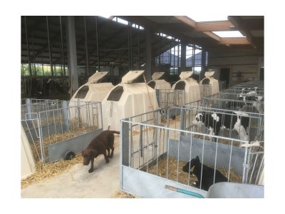 Apartment Ferienwohnung "Hühnernest" - Outdoor photo 3