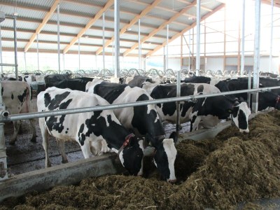 Apartment Ferienwohnung "Hühnernest" - Outdoor photo 5