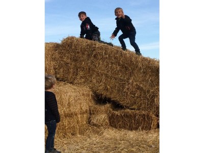 Apartment Ferienwohnung "Hühnernest" - Outdoor photo 7