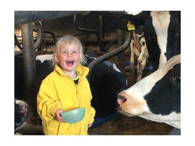 Apartment Ferienwohnung "Hühnernest" - Outdoor photo 8