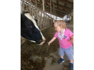 Apartment Ferienwohnung "Hühnernest" - Outdoor photo 12