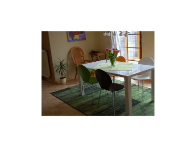 Apartment Appartement/Fewo, Dusche, WC, 1 Schlafraum - Features photo 11