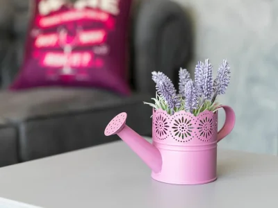 Villa Villa Lavanda - Villa Lavanda near Poreč, western Istria - Features photo 19