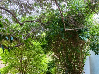 Holiday apartment BRINA with a pleasant terrace near Pula - Features photo 22