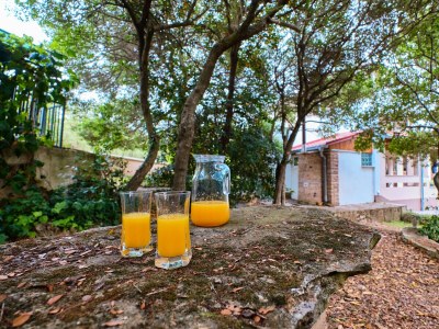 Holiday apartment BRINA with a pleasant terrace near Pula - Features photo 24