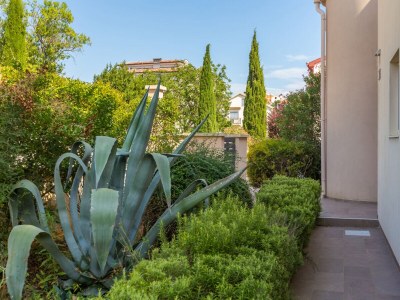 Holiday apartment BRINA with a pleasant terrace near Pula - Features photo 25