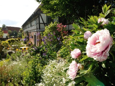 Apartment Ulrike - Outdoor photo 7