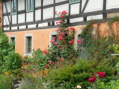 Apartment Ulrike - Environment photo 17