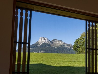 Apartment Schmiedgut Bad Aussee / Dirndlpracht - Features photo 35