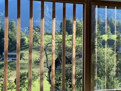 Apartment Schmiedgut Bad Aussee / Wald und Wiese - Features photo 43