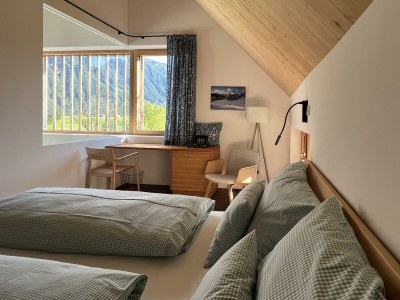 Apartment Schmiedgut Bad Aussee / Wald und Wiese - Features photo 46