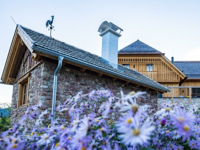 Apartment Schmiedgut Bad Aussee / Narzissenbett - Outdoor photo 20