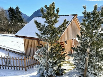 Apartment Schmiedgut Bad Aussee / Narzissenbett - Outdoor photo 30