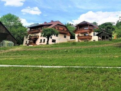 Apartment Ferienhof Gindl und Gästehaus Gindl / Dachstein - Outdoor photo 3