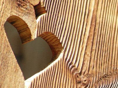 Holiday room Kurze Ausz., Suite Alpenglühen - Outdoor photo 53