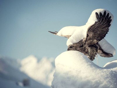 Holiday room Kurze Ausz., Suite Alpenglühen - Outdoor photo 59