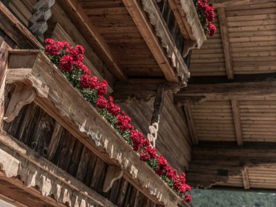 Holiday room Kurze Ausz., Suite Alpenglühen - Outdoor photo 85