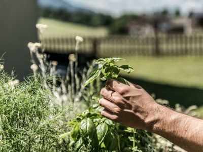 Holiday room Kurze Ausz., Suite Alpenglühen - Outdoor photo 102