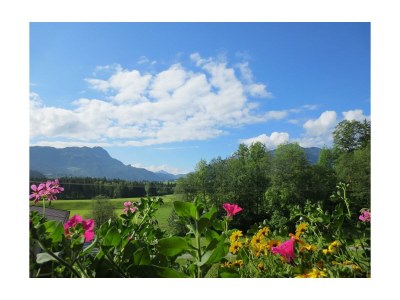 Apartment Apartment/Wohn-Schlafraum/DU,Bad, WC, - Features photo 19